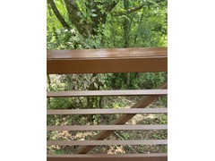 IMG_0220